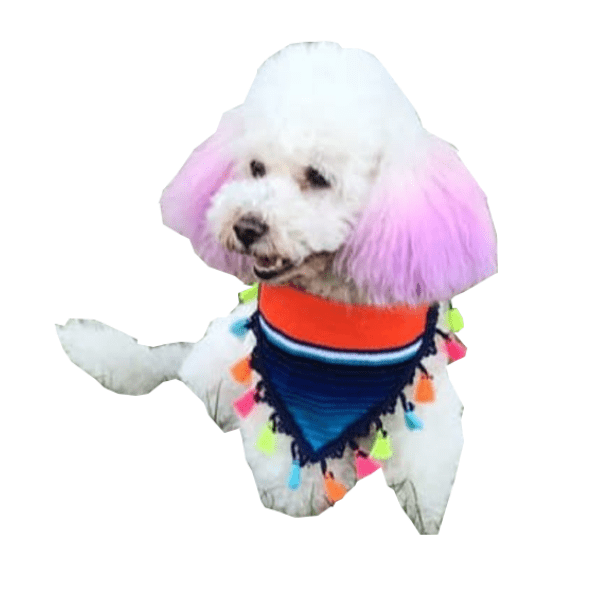 Bandanas, Paliacates Mascota Artesanal 4 Pzas