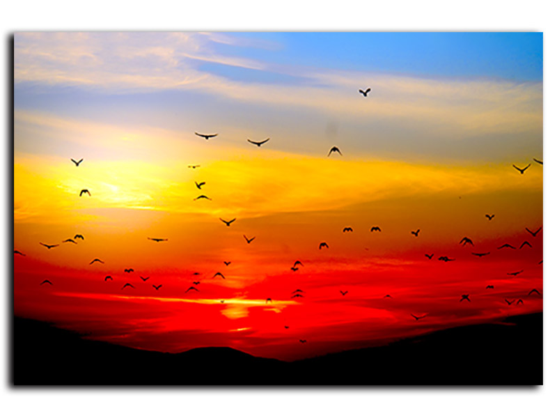 Cuadro Decorativo Canvas atardecer rojo y amarillo.