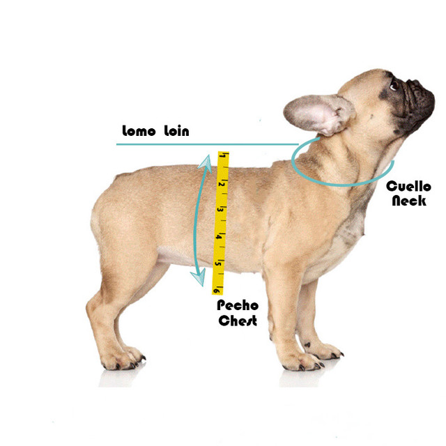 Smoking Amore para Perros de la Marca Mascotti