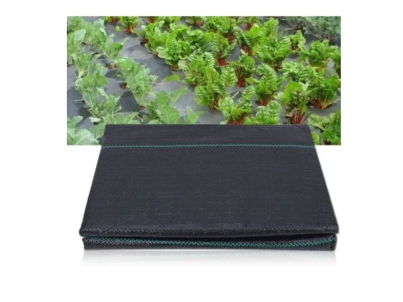 Cubresuelos Groundcover Polietileno Antimaleza 5x2m