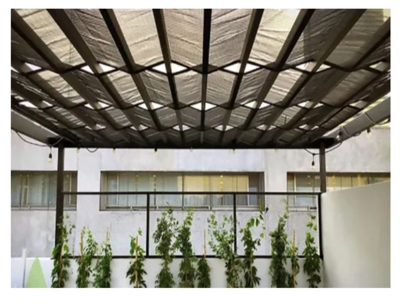 Malla Sombra 50% Raschel Negro 4.2 Mts De Ancho X 100 Mt Largo