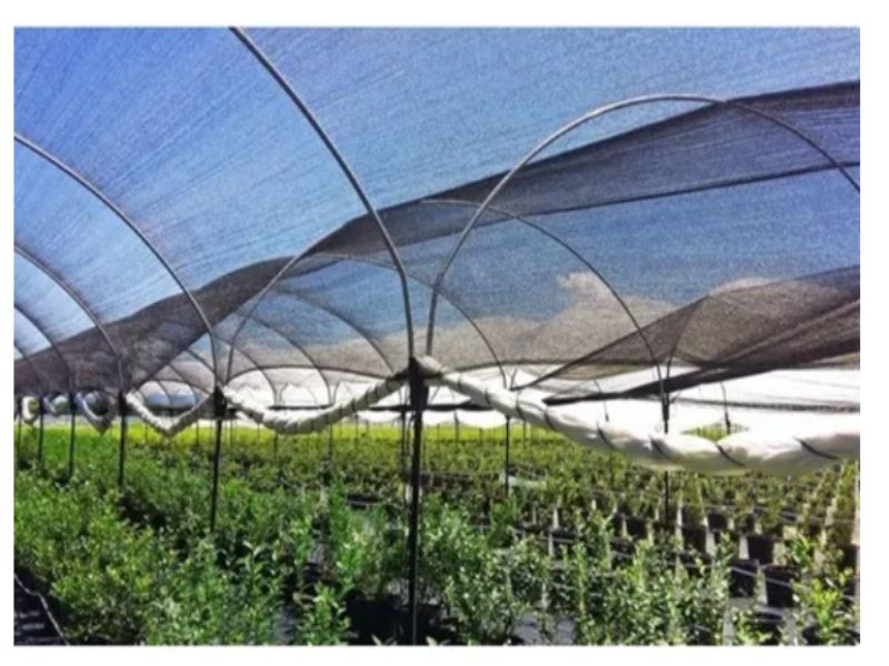 Malla Sombra 50% Raschel Negro 4.2 Mts De Ancho X 100 Mt Largo