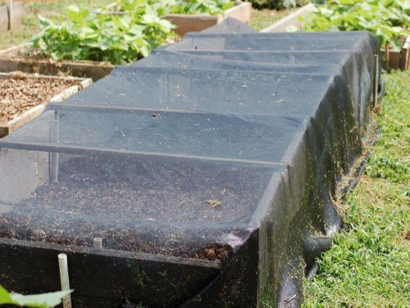 Malla Sombra 35% Raschel Negro 4.2 Mts De Ancho X 45 Mt Largo