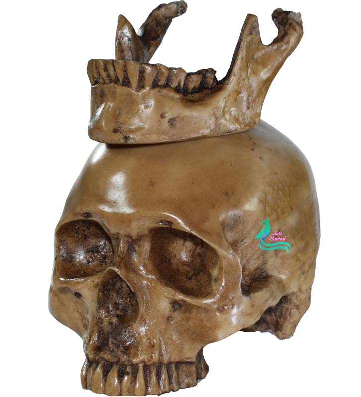 Cráneo Humano De Resina, Mandíbula Articulada , Para Escuela , Decoración Hueso sucio
