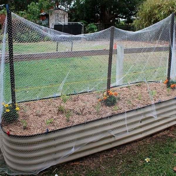 Malla Antipájaro, Antimuercielago, Antipalomas Tejida 5x10m