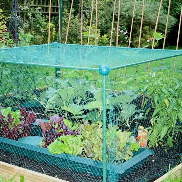 Malla Antipájaro, Antimuercielago, Antipalomas Tejida 5x10m