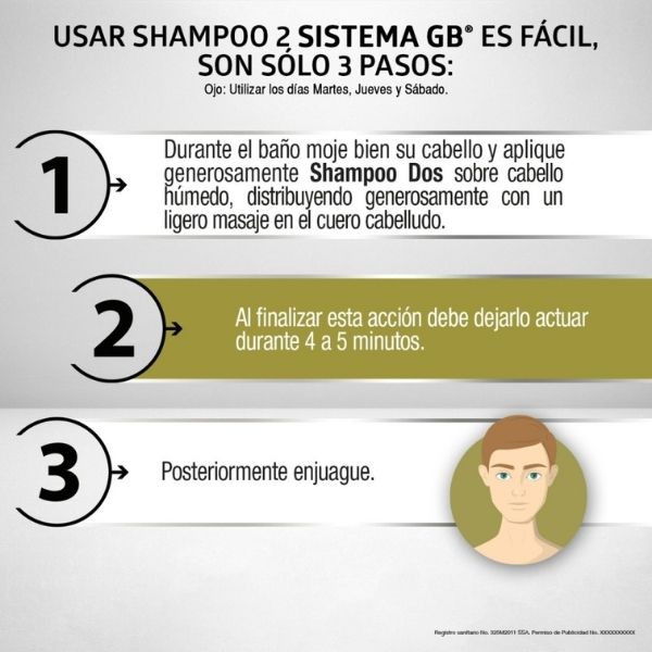 Shampoo Sistema Gb 2 Caida Cabello 230 Ml
