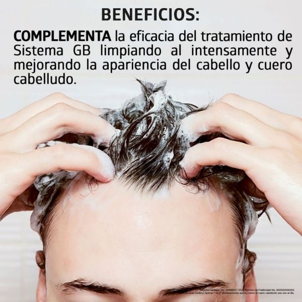 Shampoo Sistema Gb 2 Caida Cabello 230 Ml