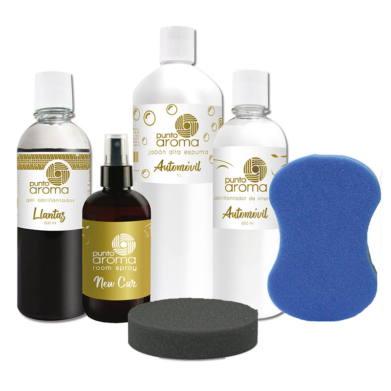 Kit car basics - Ideal para el cuidado completo de tu auto (carrocería, interiores, llantas y molduras)