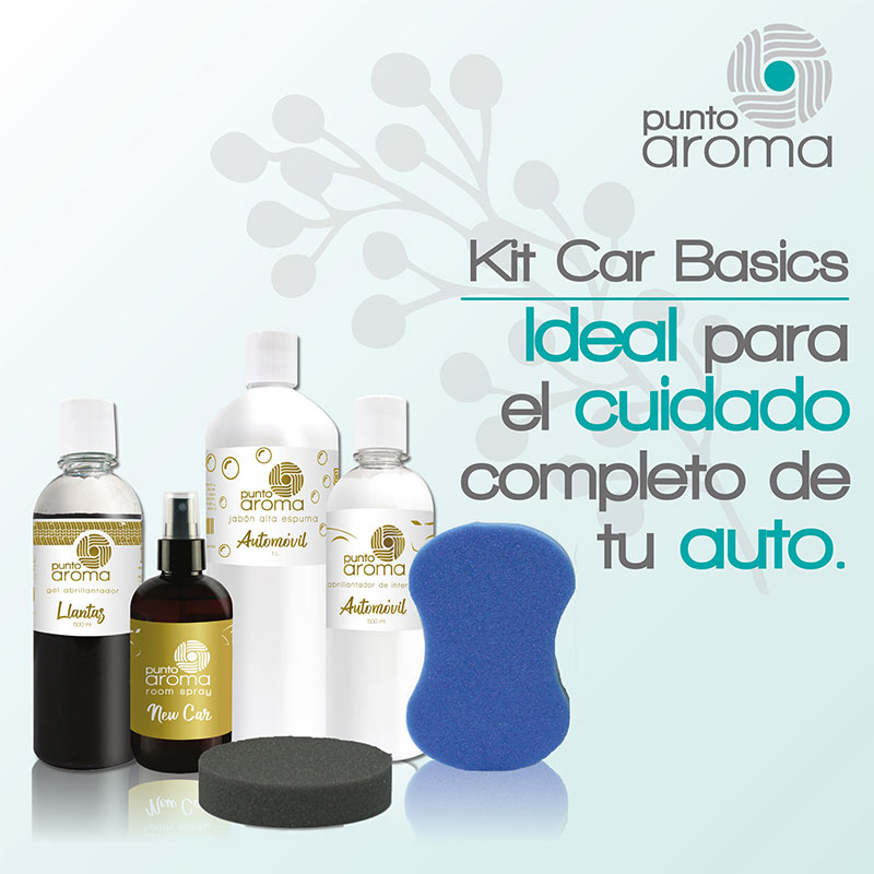 Kit car basics - Ideal para el cuidado completo de tu auto (carrocería, interiores, llantas y molduras)