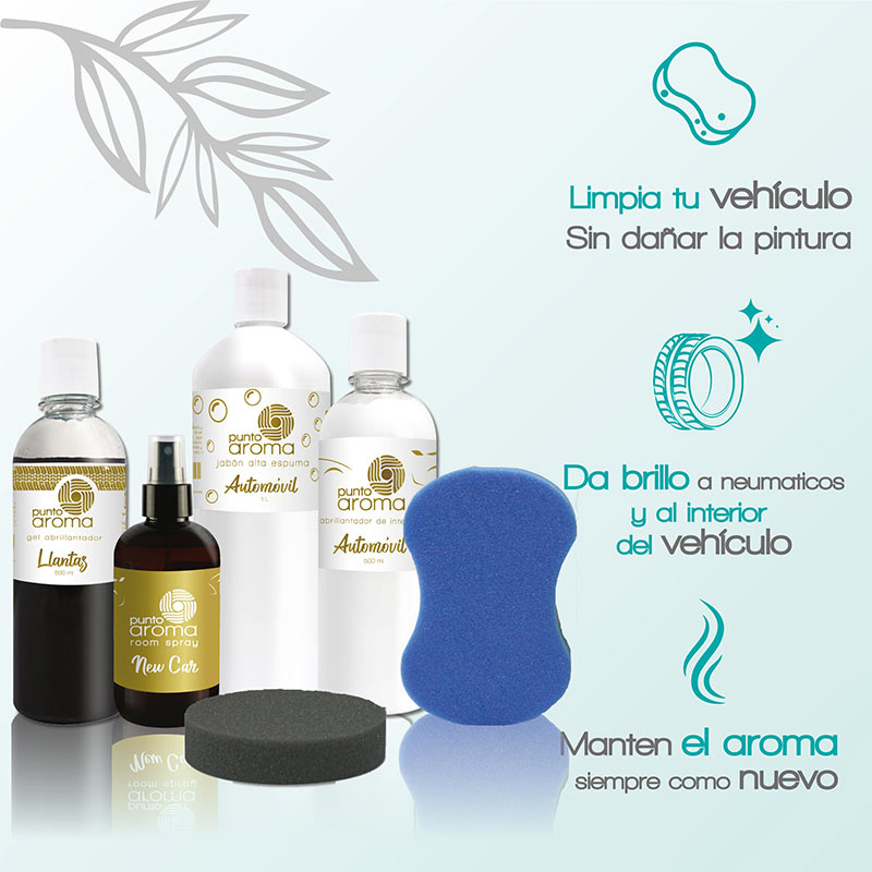 Kit car basics - Ideal para el cuidado completo de tu auto (carrocería, interiores, llantas y molduras)