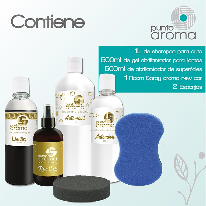 Kit car basics - Ideal para el cuidado completo de tu auto (carrocería, interiores, llantas y molduras)