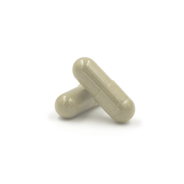 Ginkgo Biloba NaTerra 60 capsulas