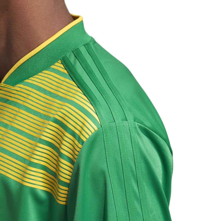 Chamarra Adidas Hombre Brasil Fútbol Verde CF1738.