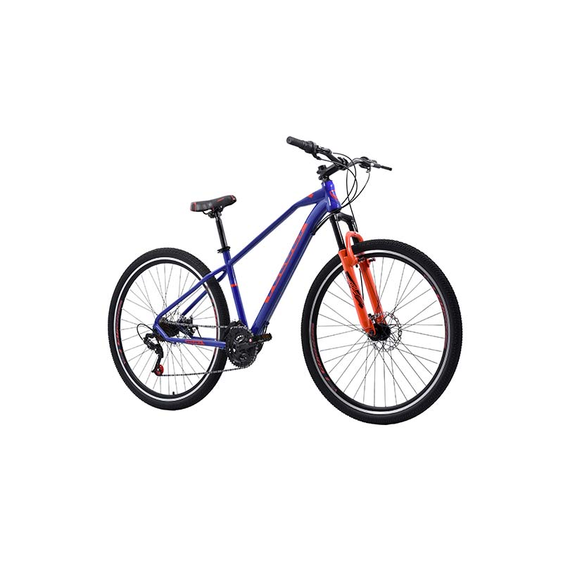 Bicicleta Veloci Riot Rodada 29 Azul De Montaña
