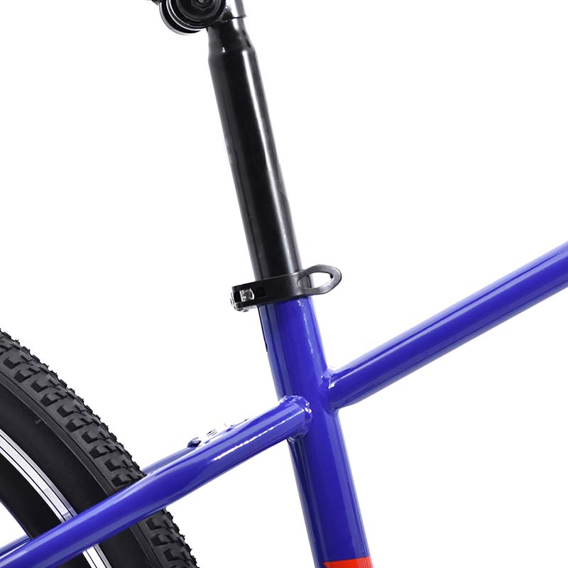 Bicicleta Veloci Riot Rodada 29 Azul De Montaña