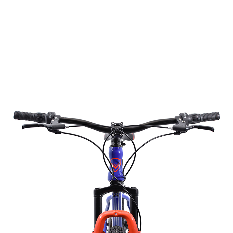 Bicicleta Veloci Riot Rodada 29 Azul De Montaña