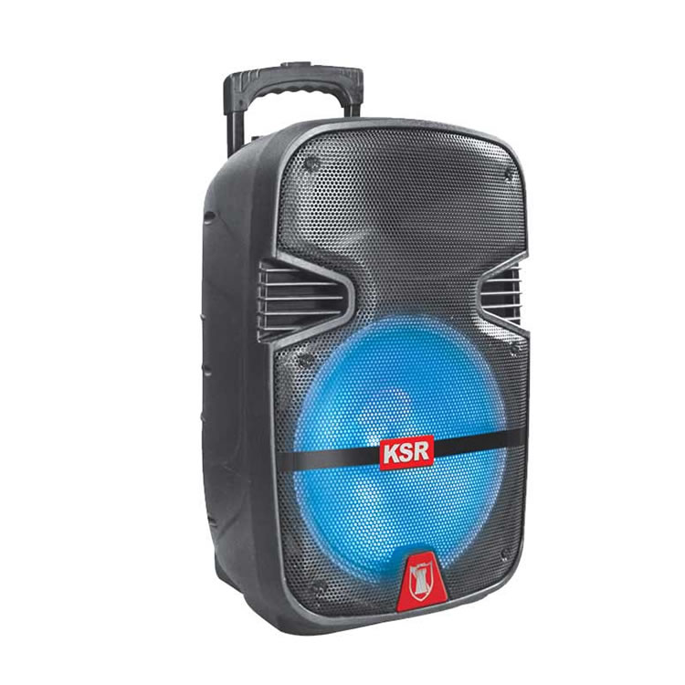 Bocina Recargable De 30.48cm Tecnología LINK Kaiser MSA-4012 - Negro