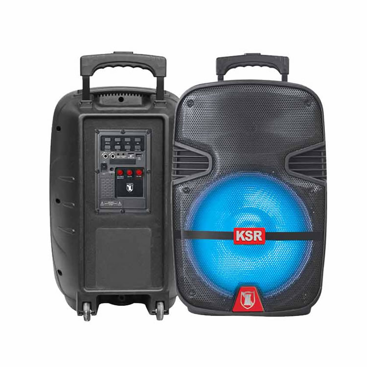 Bocina Recargable De 30.48cm Tecnología LINK Kaiser MSA-4012 - Negro