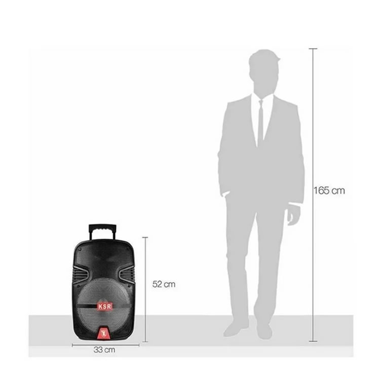 Bocina Recargable De 30.48cm Tecnología LINK Kaiser MSA-4012 - Negro