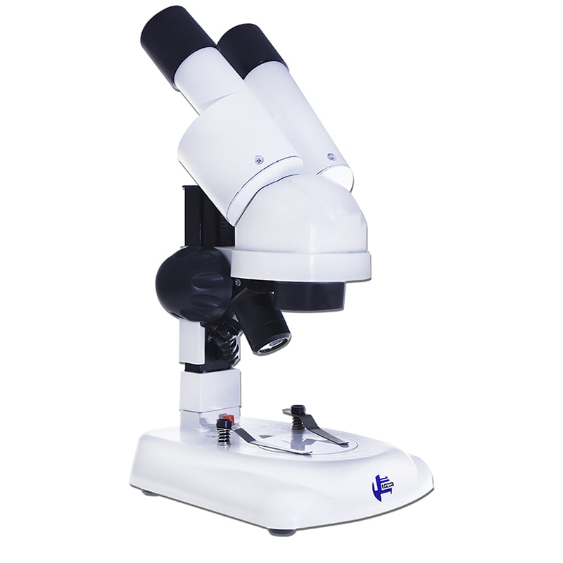 ZEIGEN  Microscopio Estereoscópico Infantil Zeigen Estudiantil