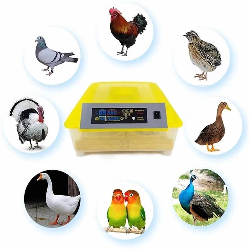 Incubadora 48 Huevos Ovoscopio Gratis Manual Ultimo Modelo