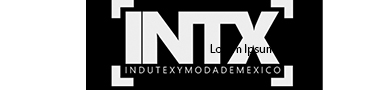 Indutex y Moda de Mexico S. de R.L. MI.