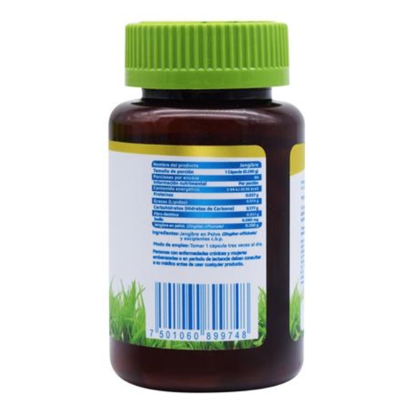 Jengibre 90 Cap Vidanat