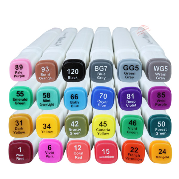 Set 24 Plumones Profesional Doble Punta Pantone Rotulador C06-1