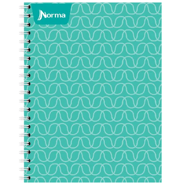 1 Cuaderno / Libreta Profesional Norma Unicolor Dob.Espiral RAYA COLOR AL AZAR