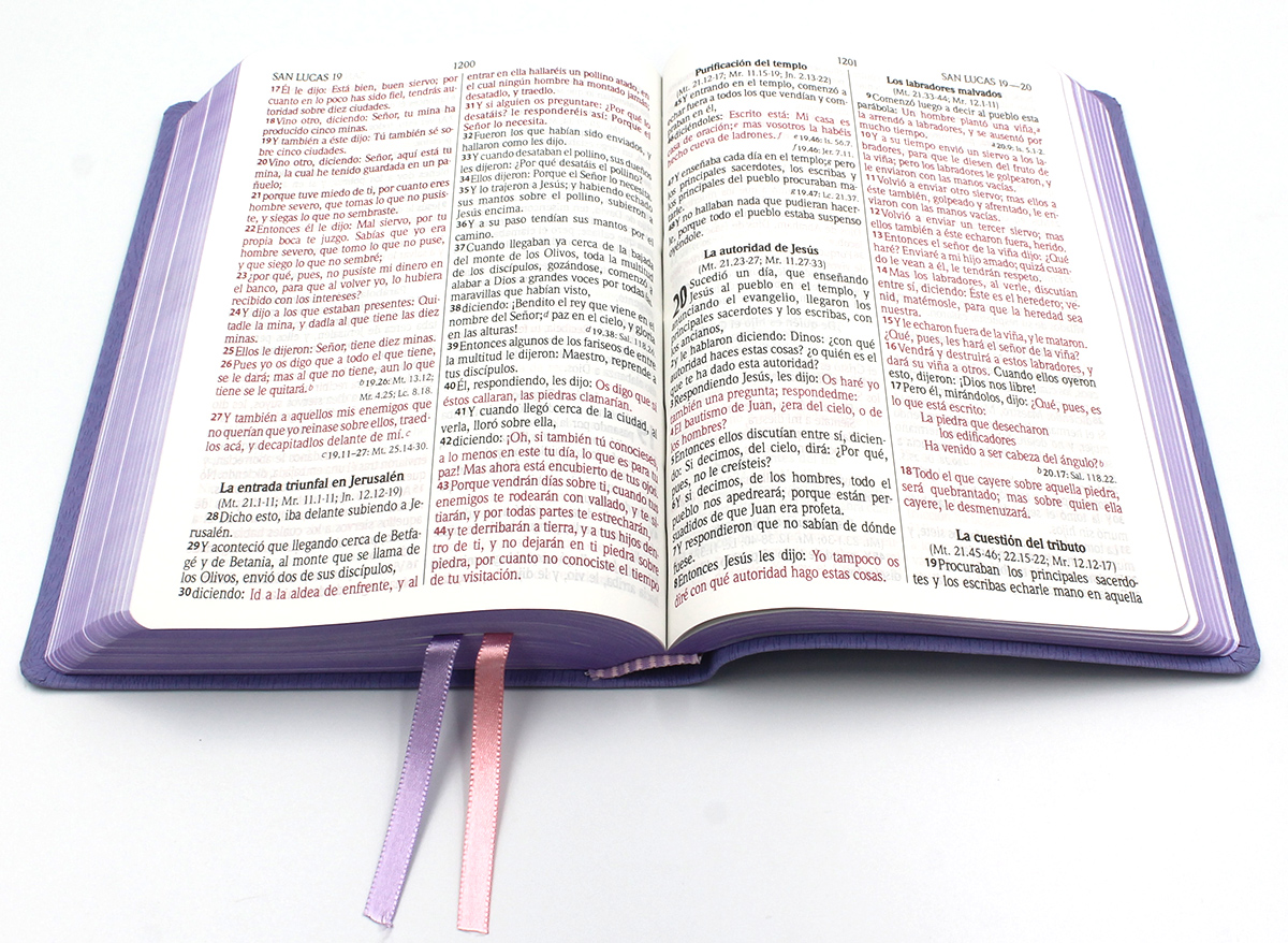 Biblia Reina Valera 1960 Letra Grande Imitación Piel - Color Violeta