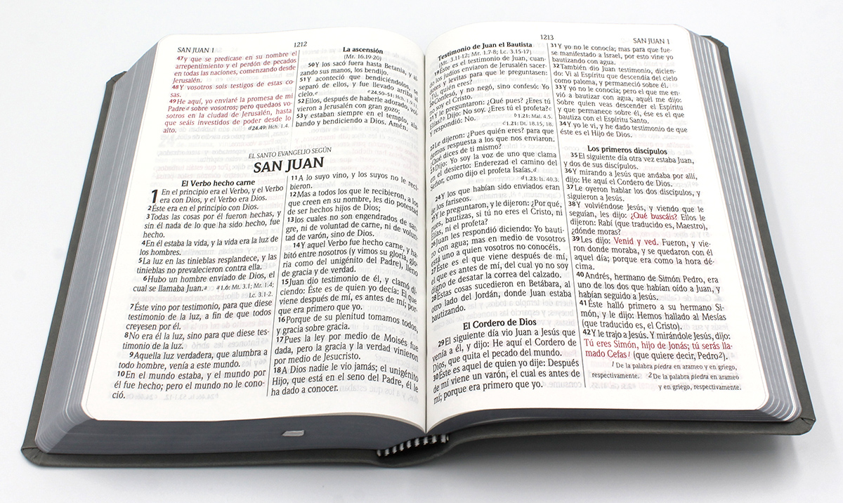 Biblia Reina Valera 1960 Letra Grande Imitación Piel - Color Gris