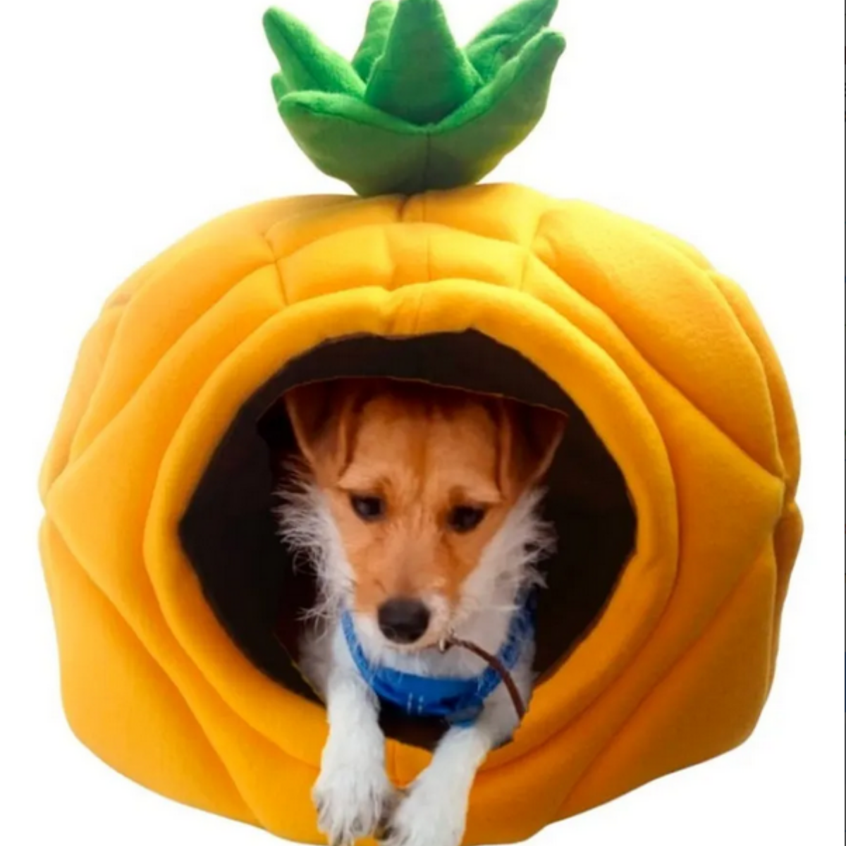 Casa Cama Para Perro Schnauzer Pug Salchicha En Forma de Piña Para Interiores