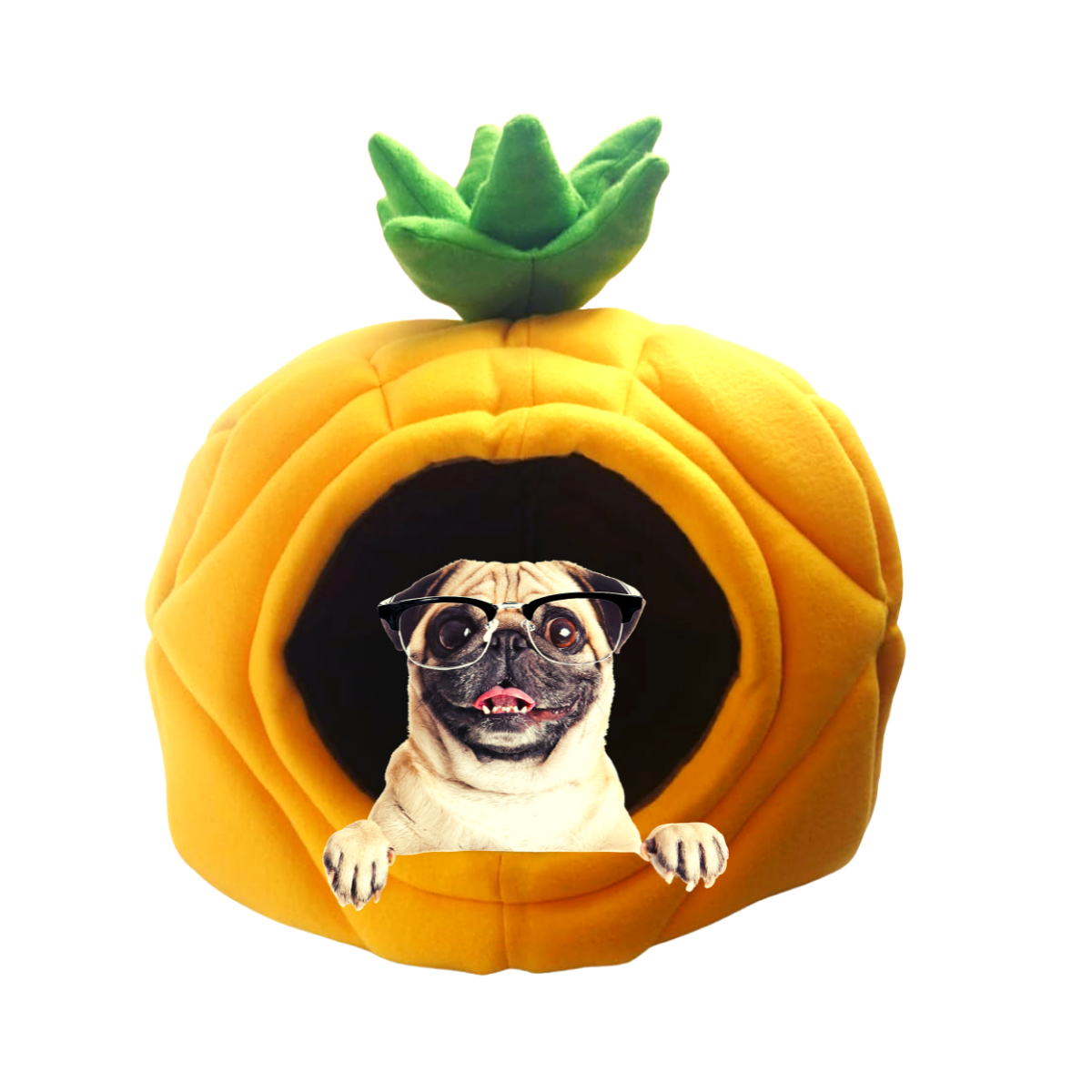 Casa Cama Para Perro Schnauzer Pug Salchicha En Forma de Piña Para Interiores