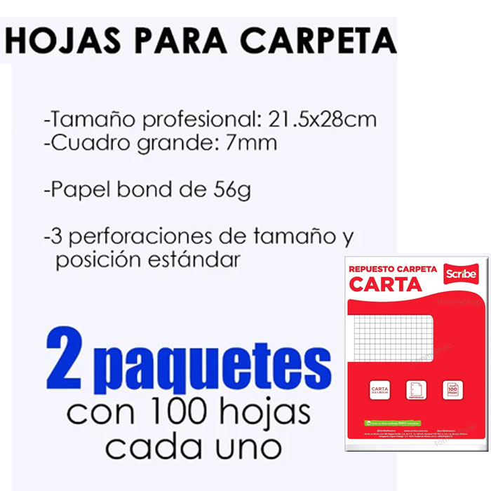 Hojas De Repuesto Cuadro Grande P Carpeta Profesional Carta scribe 
