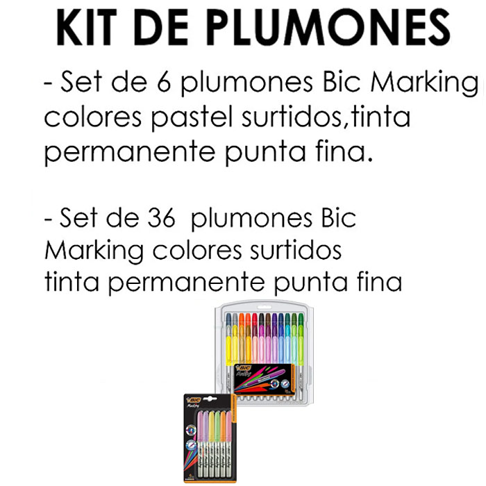 42 Plumones Permanentes Marcadores Con Pastel Bic Marking