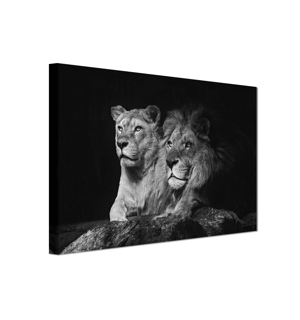 Cuadro Decorativo León Blanco y Negro | 80x120cm lienzo canvas 100% Algodón | DECOGALERIA | Listo para Colgar