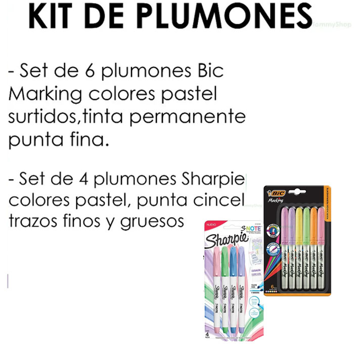 Plumones Bic Marking Permanentes Pastel + Marcatextos Sharpie.