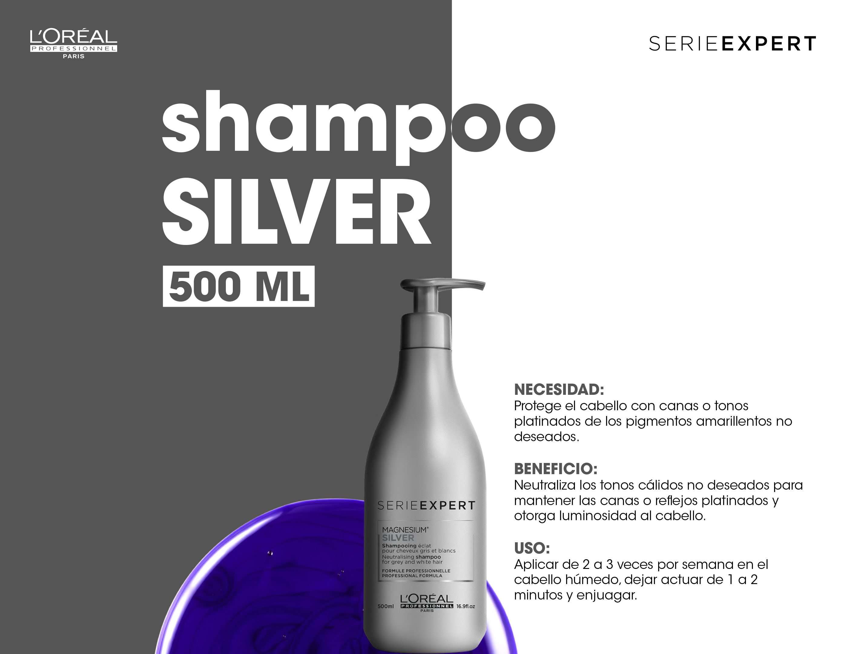 Shampoo Matizador Loreal Silver 500ml