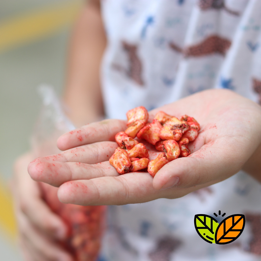 Maíz Inflado a Vapor 100 pack Maicitos Bloffis Snack Nutritivo 50 gr c/u Sin freir, sin gluten y sin azucar.