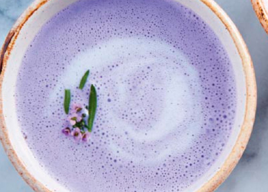 Taro Latte 1.700 g bebidas frias y calientes