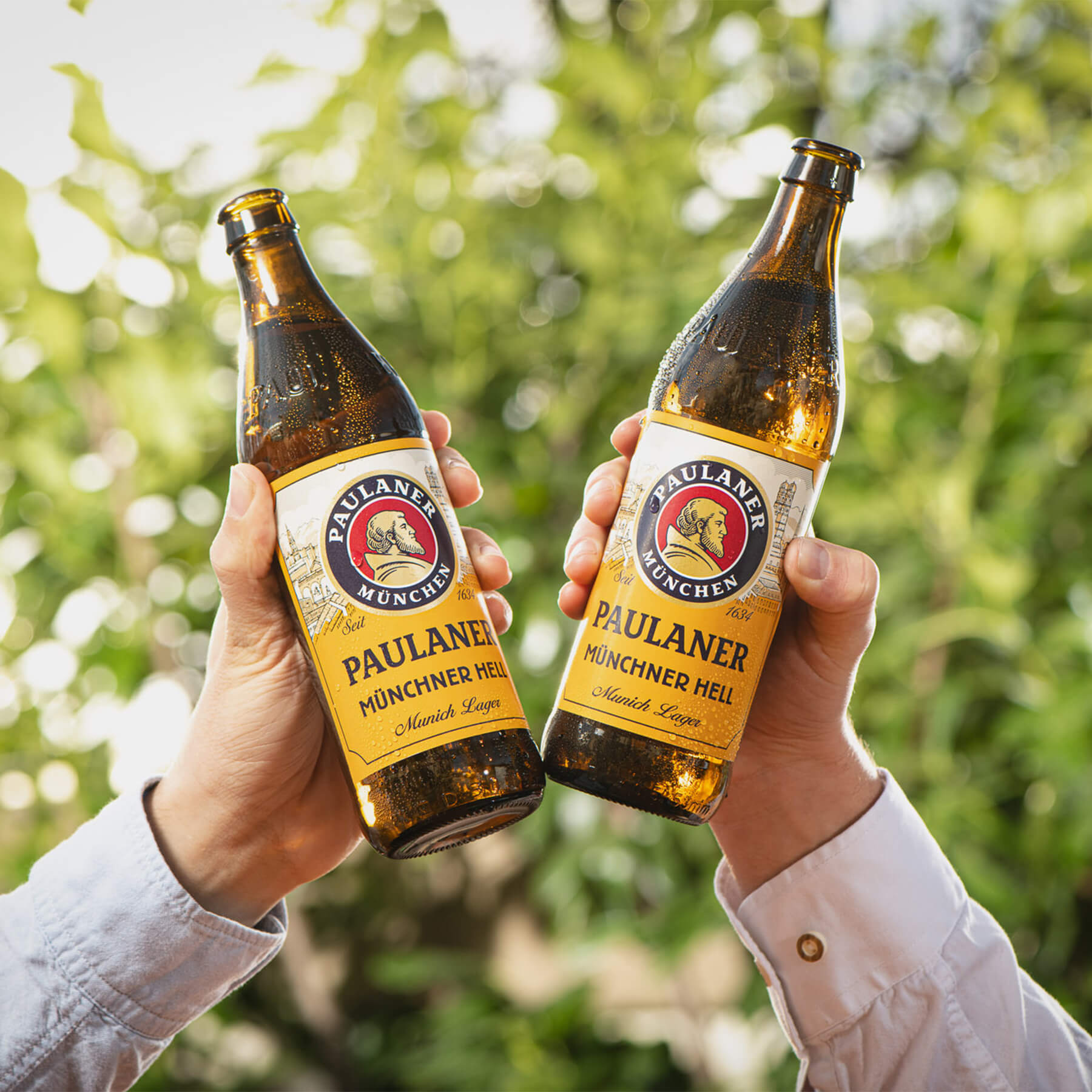 12 Pack Cerveza Paulaner Münchner Hell 500ml C/u