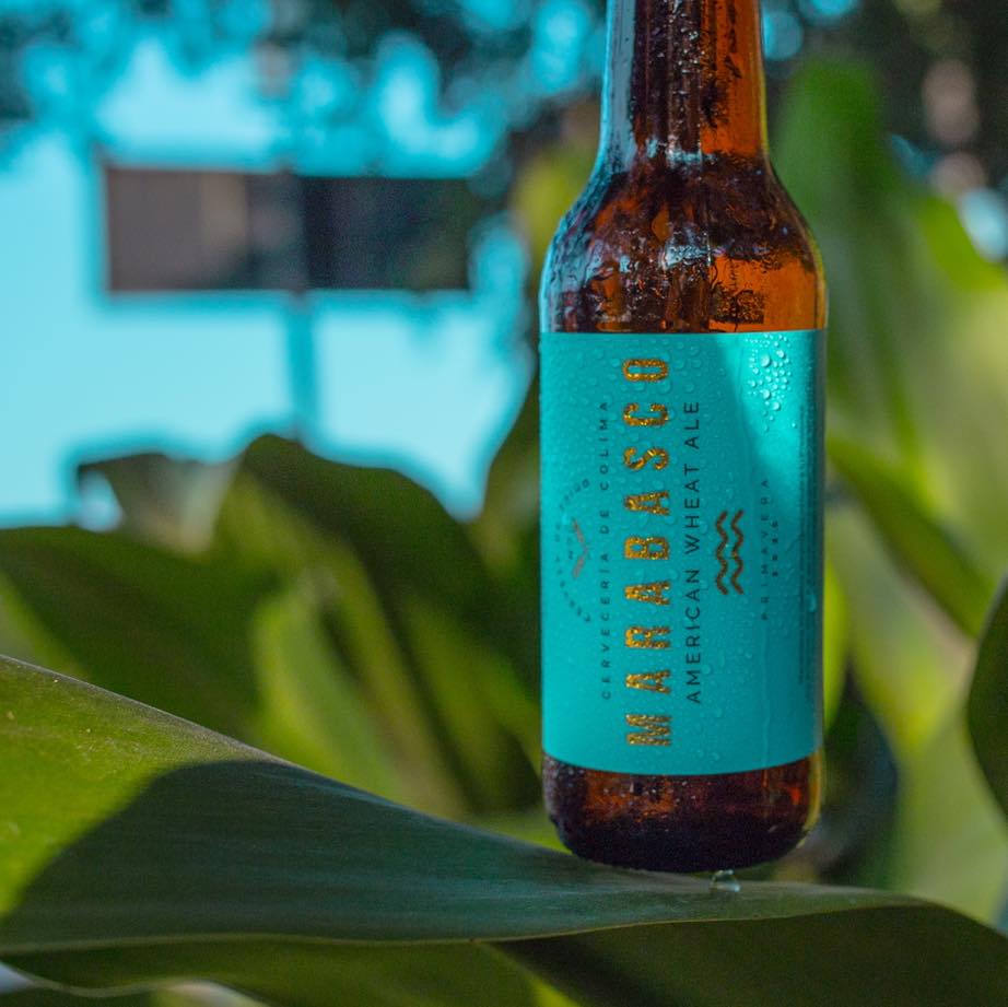 12 Pack Cerveza Artesanal Colima Marabasco 355ml C/u