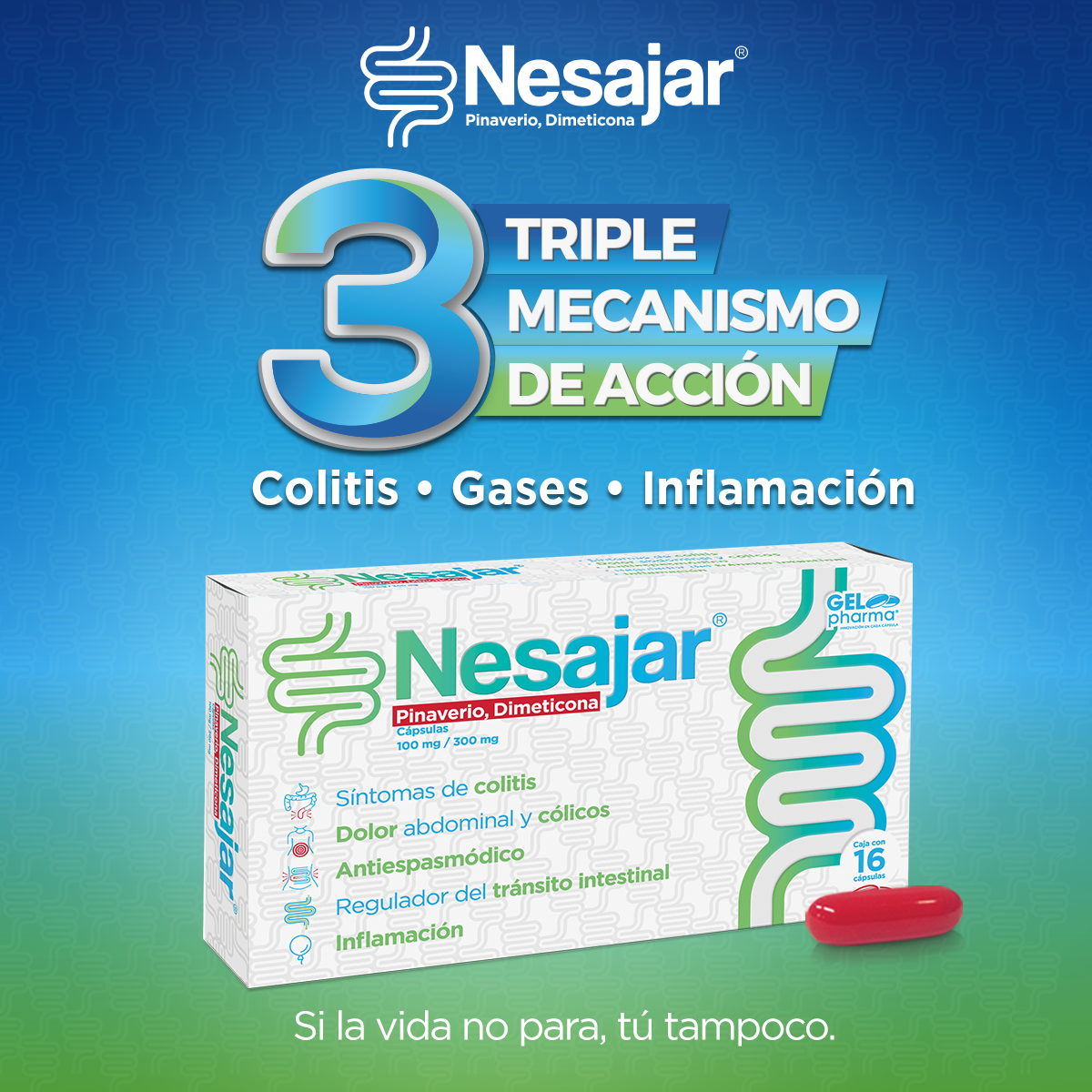 Nesajar (Pinaverio-Dimeticona) Colitis y Colicos. Caja 16 Caps.