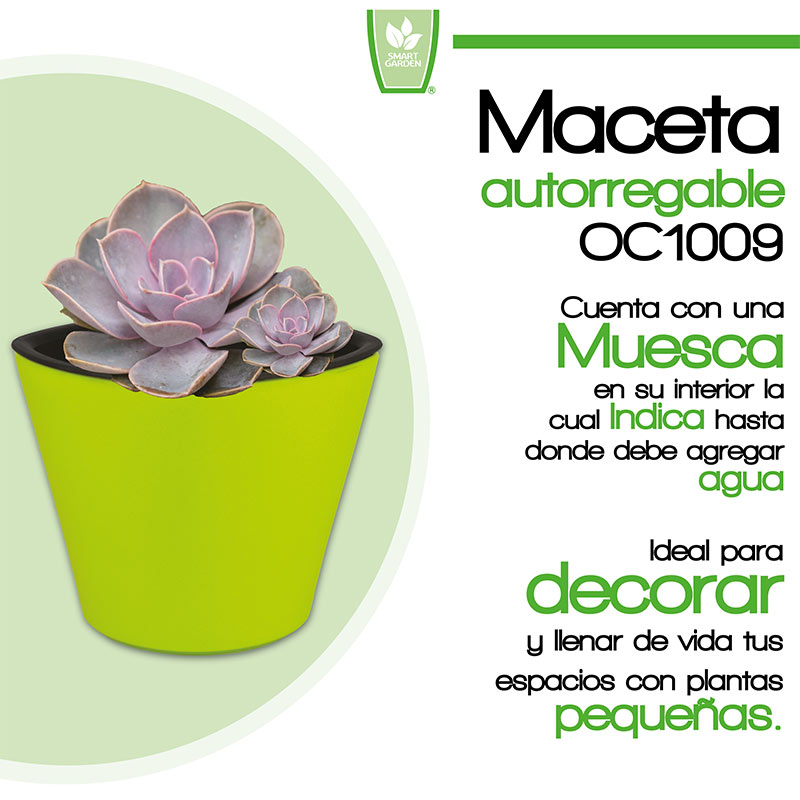 Smart Garden Maceta autorregable OC1009 Decorativa, Ovalada - Mini, Moderna, Interior - Suculentas - Autorriego Inteligente - Plástico ABS Anti UV (10cm de diámetro x 9cm de Alto) (1, Verde Mate)