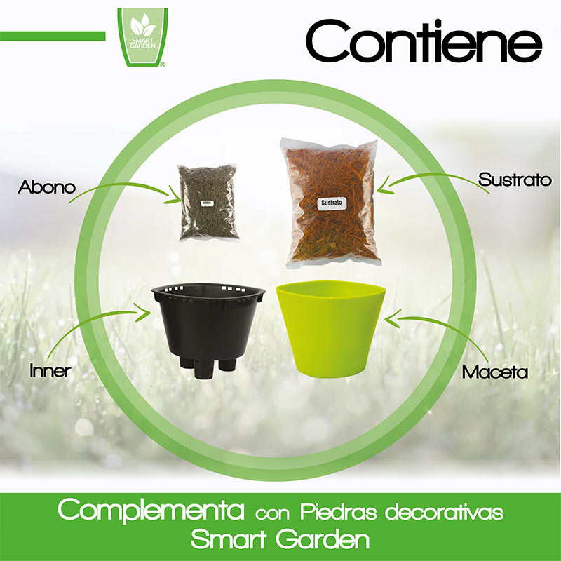 Smart Garden Maceta autorregable OC1009 Decorativa, Ovalada - Mini, Moderna, Interior - Suculentas - Autorriego Inteligente - Plástico ABS Anti UV (10cm de diámetro x 9cm de Alto) (1, Verde Mate)