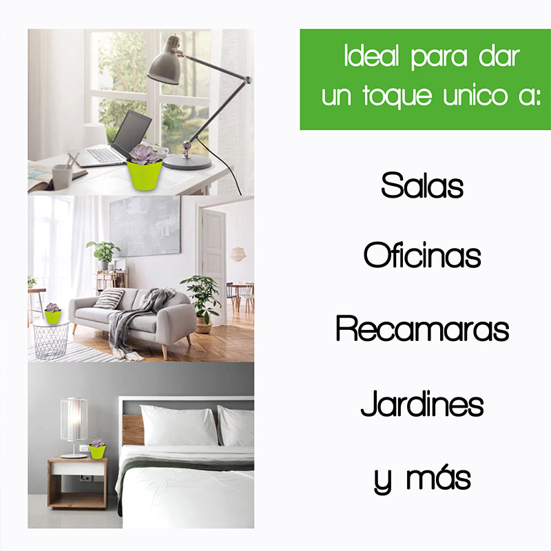 Smart Garden Maceta autorregable OC1009 Decorativa, Ovalada - Mini, Moderna, Interior - Suculentas - Autorriego Inteligente - Plástico ABS Anti UV (10cm de diámetro x 9cm de Alto) (1, Verde Mate)