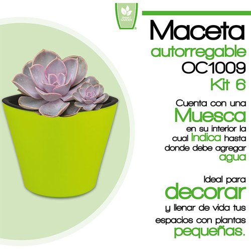 Kit 6 x Maceta Autorregable OC1009 Decorativa, Ovalada - Mini, Moderna, Interior - Suculentas - Autorriego Inteligente - Verde Mate