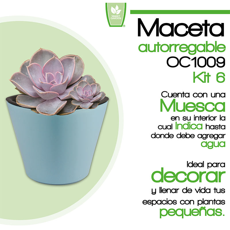 Kit 6 x Maceta Autorregable OC1009 Decorativa, Ovalada - Mini, Moderna, Interior - Suculentas - Autorriego Inteligente - Azul Mate