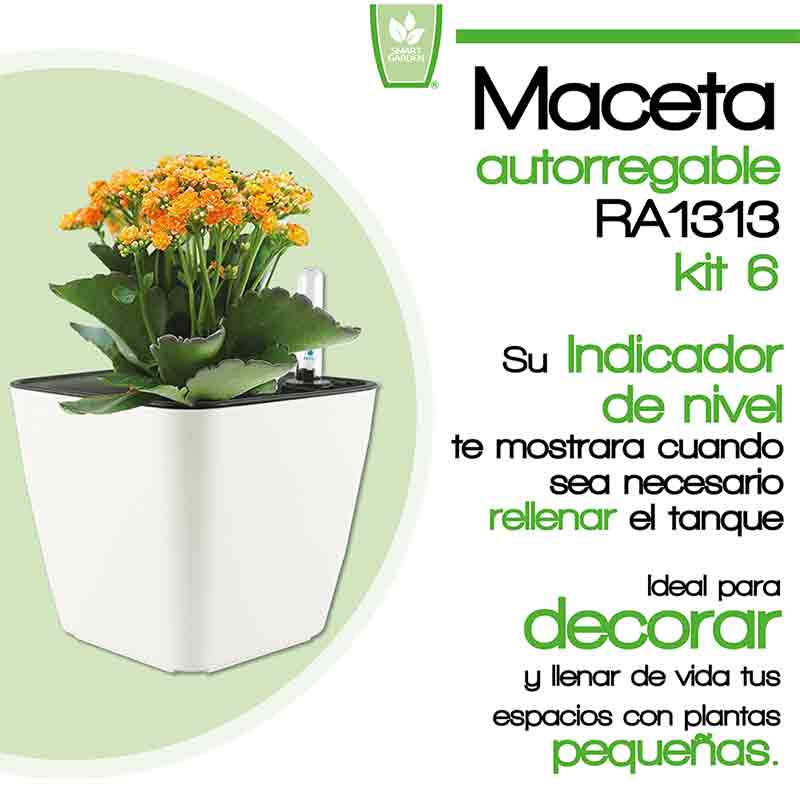Kit 6 x Maceta Autorregable RA1313 Decorativa, Ovalada - Mini, Moderna, Interior - Suculentas - Autorriego Inteligente - Blanco Mate